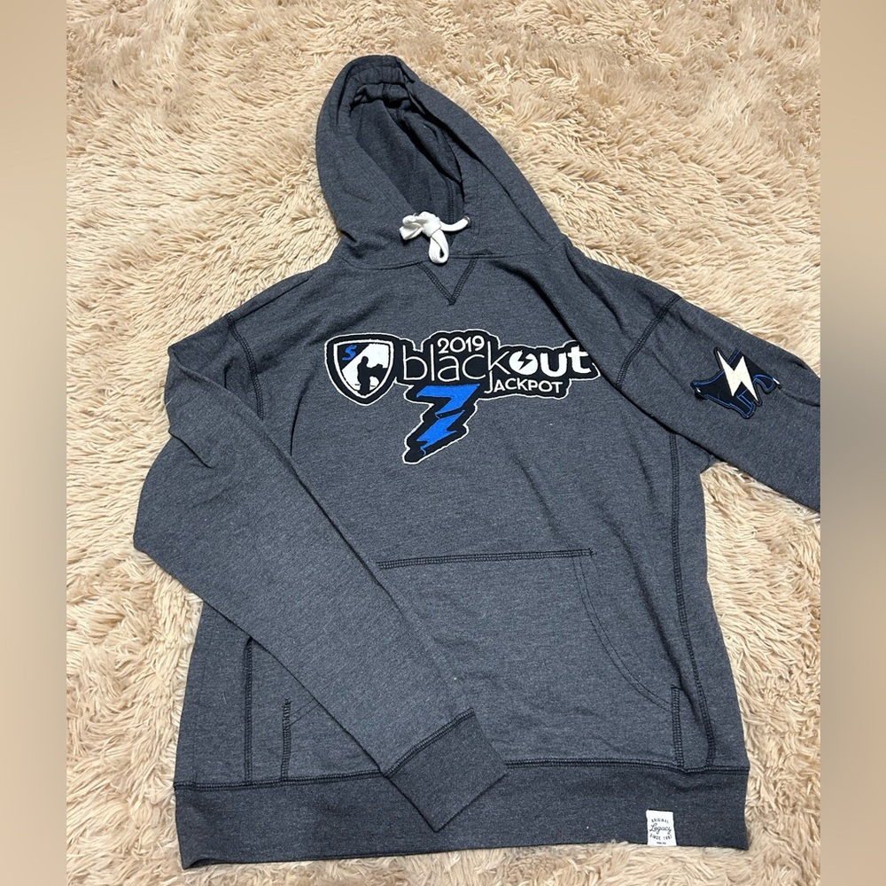 Stockshow Steer Hoodie Gray